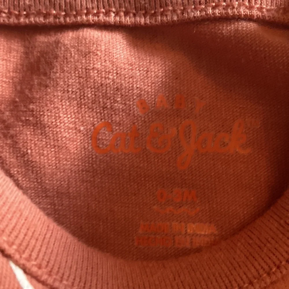 Fall inspired set of two long sleeve onesie. - Picture 7 of 7